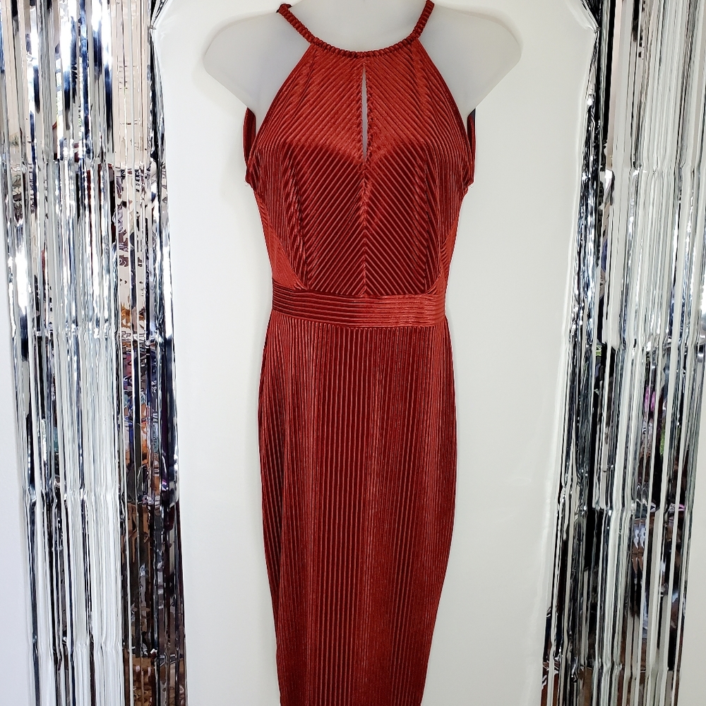 NEW Dynamite velvet dress (tags on)